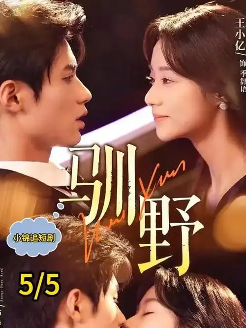 归途列车 都市热播电视剧全集在线观看